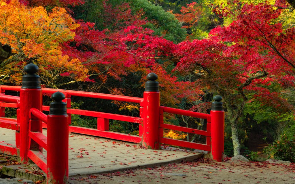 🍁 단풍 계곡 공원 (모미지다니 코엔) 이미지 1